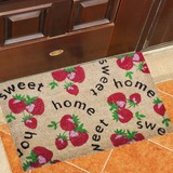 门厅门垫成品地毯可手洗防滑椰棕家用进口欧式印度脚垫入户地垫