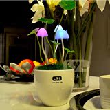 阿凡达蘑菇灯七彩LED光控摆件小夜灯插电夜灯床头灯节能创意灯饰