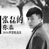 2016 民谣王子 张磊 新歌+精选 南山南 汽车载音乐CD碟片 好声音