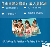 深圳成人游泳培训（泳往直前）成人集体课 Swimming Training
