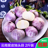 云南特产 紫皮大蒜头 独头蒜2斤 2016新鲜蔬菜厨房食材 满2份包邮