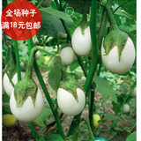 蔬菜种子 花卉种子 鸡蛋茄种子 迷你植物盆栽 阳台种菜蔬菜特价