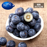 【YQYQ】智利进口蓝莓6盒装 新鲜营养水果 125g/盒 顺丰包邮