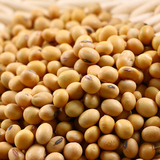 农家自种天然发芽黄豆双十二豆子非转基因小黄豆浆专用1000g