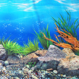 高清水族箱单面背景 珊瑚画 立体感岩石鱼缸贴纸高40cm长10厘米