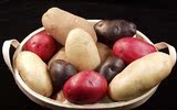 彩色土豆——金薯王黑土豆紫土豆金土豆种子种苗