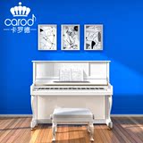 香港CAROD/卡罗德立式钢琴T23-W 全新进口高端配置白色 包邮