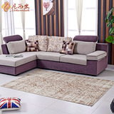 尼西米土耳其进口地毯 卧室地毯客厅 茶几地毯 超薄沙发茶几垫