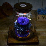 进口巨型七彩玫瑰永生花玻璃罩蓝色妖姬保鲜花创意七夕情人节礼物