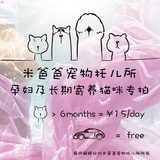 【米爸爸宠物托儿所】北京宠物猫咪家庭式寄养【孕妇及长期专拍】