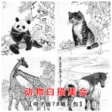 【电子版】走兽国画工笔画底稿临摹范本白描动物78幅打包