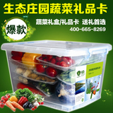 新鲜蔬菜礼盒 B款 绿色无公害 有机 生鲜蔬菜 配送 套菜 端午节
