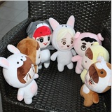 EXO成员毛绒玩具鹿晗朴灿烈公仔毛绒玩具抱枕周边送女友礼物娃娃