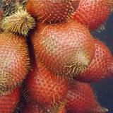 泰国水果 蛇皮果 进口水果 特产 5斤装 坏果包赔 中通空运包邮