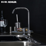 Kohler科勒正品厨房龙头 可芙厨房净水龙头 单冷水龙头K-45406T