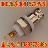 全铜BNC白胶 50欧绝缘BNC母座 BNC同轴连接器 BNC插座面板连接器
