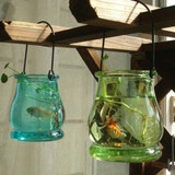 玻璃花器 室内装饰花瓶吊瓶 苔藓 种植生态迷你水培容器0.25KG