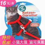 猫咪牵引绳拴猫绳包邮溜猫绳子宠物猫胸背带猫链子牵引带小猫牵绳