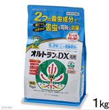 现货日本进口 园艺杀虫 DX2内吸式 播洒土表或种植时拌土杀虫剂
