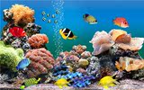 3D立体海洋生物大型壁画 电视背景墙儿童房海底世界墙纸 壁纸墙纸