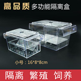 鱼苗孵化盒孔雀鱼透明繁殖盒斗鱼隔离箱亚克力双层自浮孵化盒小号