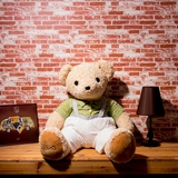 孩生日礼物泰迪熊毛绒玩具创意抱抱熊公仔抱枕玩偶布娃娃大小号女