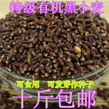 新货黑小麦紫麦煮粥 作黑麦种子均可 黑小麦草种子500g富硒