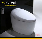 智能马桶 全自动清洗一体带遥控坐便器 YVYV2300 中德技术