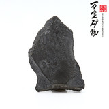 保真 微型群体三叶虫化石标本 张氏掘头虫 古生物原石 燕子石02
