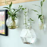 灯工玻璃壁挂式水培容器 创意悬挂鱼缸 家居墙面装饰花瓶 园艺