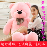 毛绒玩具大号1.6米1.8米抱抱熊猫布娃娃泰迪熊公仔2米女生日礼物