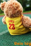 潮流NBA球衣泰迪熊球队服库里詹姆斯哈登毛绒公仔玩具球迷礼物纪