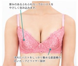 日本代购BRADELIS调整胸罩Blair文胸托胸防止下垂性感有钢圈内衣