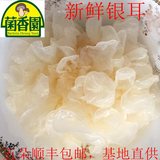 新鲜银耳 雪耳 白木耳 绣球菌 新鲜菌菇  无公害 供港菌菇一朵