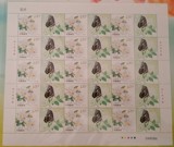 个23 2011年花卉个性化服务专用邮票大版 面值出售 只有百合花了