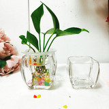 包邮创意宜家绿萝水培植物透明简约圆异形玻璃缸灌小花瓶金鱼缸