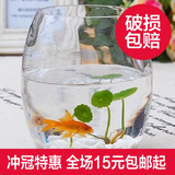 满18元包邮 透明玻璃花瓶 花盆 鹅蛋型玻璃花瓶 水培植物花瓶