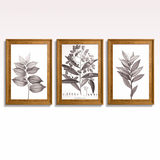 泷崎植物花卉文艺现代装饰画木纹宽边框客厅沙发墙美式壁画餐厅
