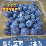 新鲜水果 智利有机蓝莓125g*2盒 纯天然进口蓝梅鲜果 坏果包赔