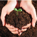 有机营养土 盆栽植物培养土 多肉 花卉种植土养花土 通用型花泥