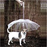 狗狗雨伞宠物雨伞 泰迪比熊小型犬小狗宠物雨衣雨披用品 可拴狗链