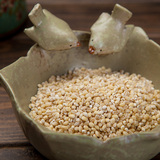 掌微 特种薏米400g薏仁米小薏米洋薏米 你可能没吃过的薏米仁