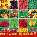 包邮 低价 进口蔬菜朝天椒 五彩椒 甜椒等辣椒苗种子 蔬菜种子