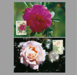 MC-31 T1997-17《花卉》 花卉邮票极限片 总公司极限片