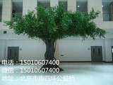 仿真大树假树榕树仿真大型植物装饰酒店大厅布景实木树干订做树