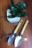 多肉植物花卉种植养花种花阳台种菜迷你小铲子园艺工具三件套装
