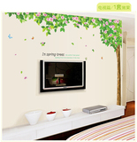 林荫大树 青翠树叶 环保大面积可移除客厅卧室电视沙发背景墙贴纸