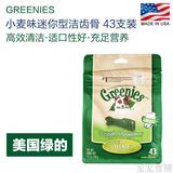 美国Greenies绿的 洁齿骨 小麦口味 进口宠物零食洁齿骨 43根装