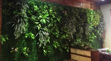 仿真背景植物墙塑料草坪绿化装饰 人工草皮加密仿真 装饰植物墙