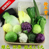 仿真PU蔬菜 橱柜装饰品 幼儿园玩具 水果蔬菜模型 假蔬菜菜模型